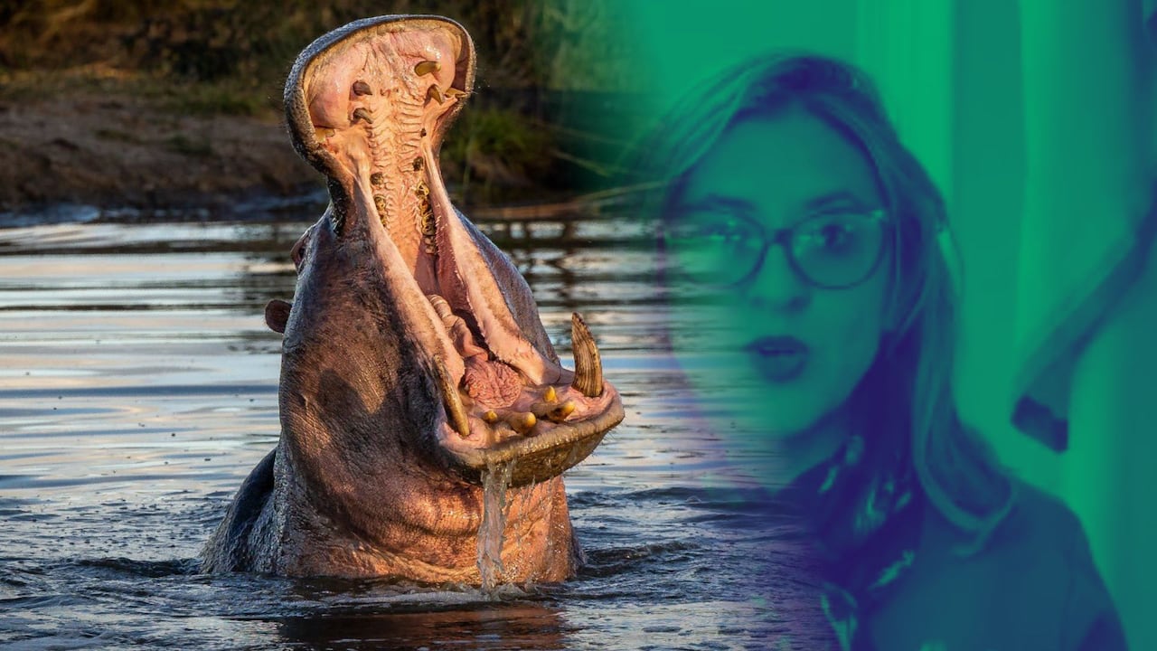 El Ministerio de Ambiente aclaró que la medida de sacrificio sigue vigente.