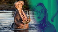 El Ministerio de Ambiente aclaró que la medida de sacrificio sigue vigente.