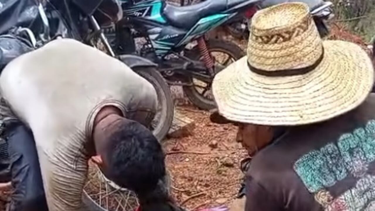 Los compañeros de labores del campesino salieron a auxiliarlo luego de terminar herido en medio de los combates que se presentaron en la zona rural de Suárez, Cauca.