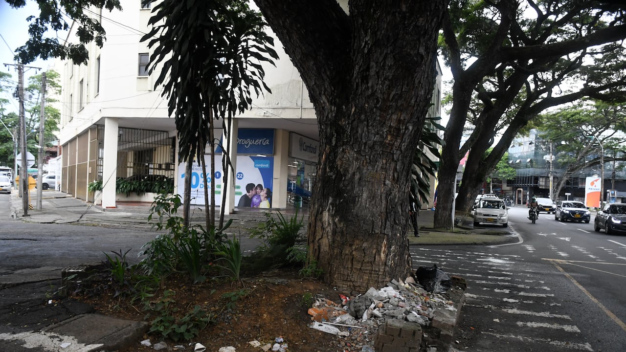 Fotodenuncia: Árbol av 6, obra inconclusa y botadero de basura.