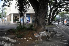 Fotodenuncia: Árbol av 6, obra inconclusa y botadero de basura.