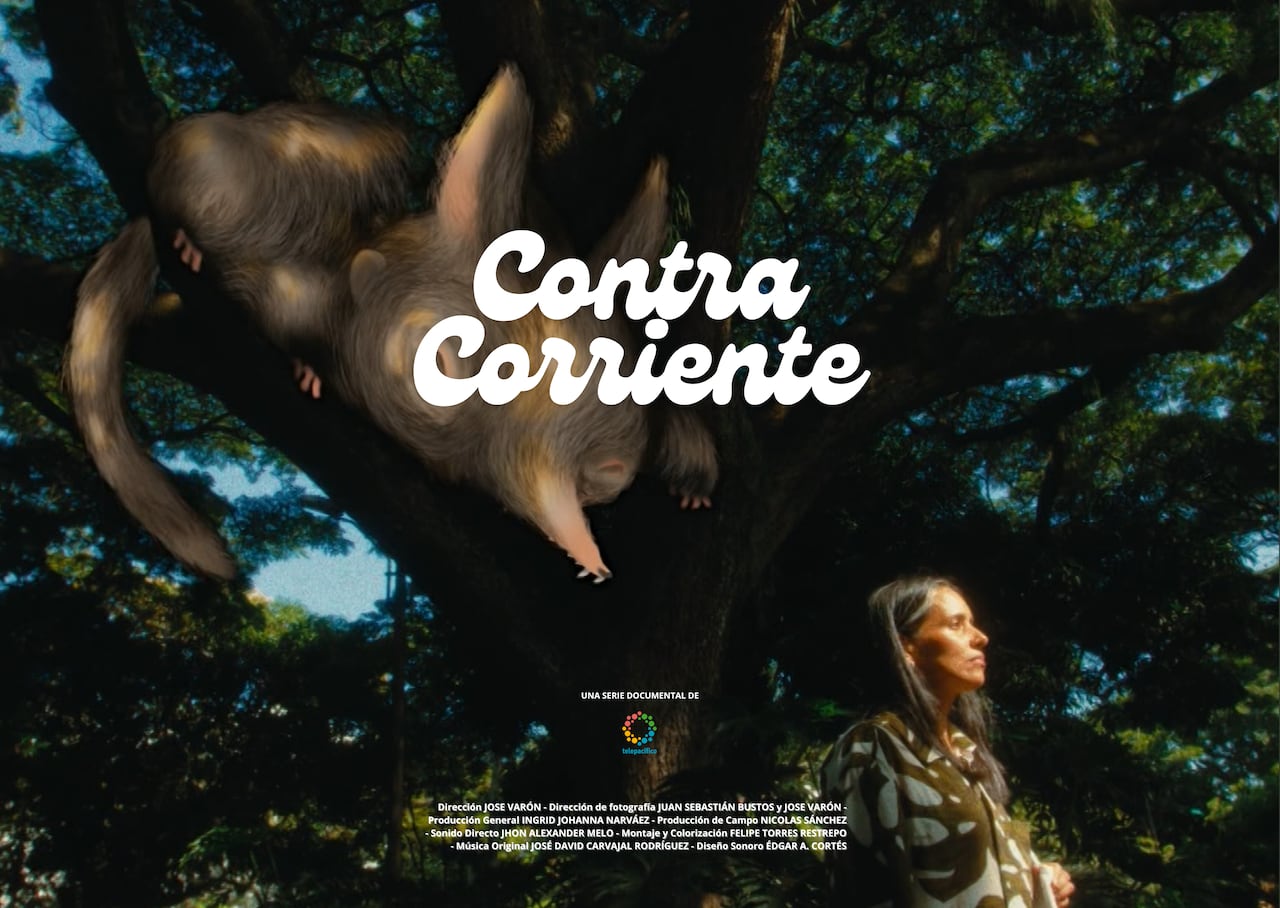 Telepacífico en los premios India Catalina