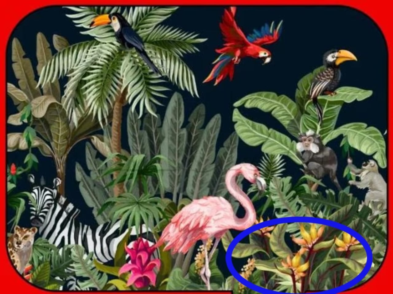 Tiene 8 segundos para hallar el cocodrilo en la imagen