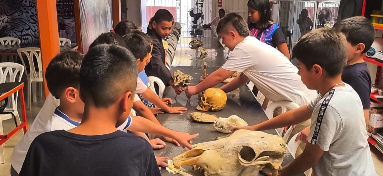 Los niños de la Casa de la Ciencia de Buga aprenden practicando en el laboratorio.