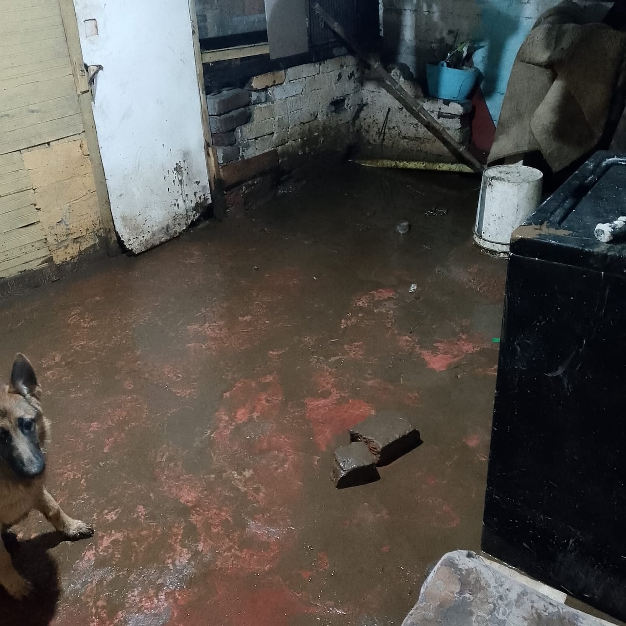 Lluvias causan estragos en Versalles: Sin vías y con casas inundadas.