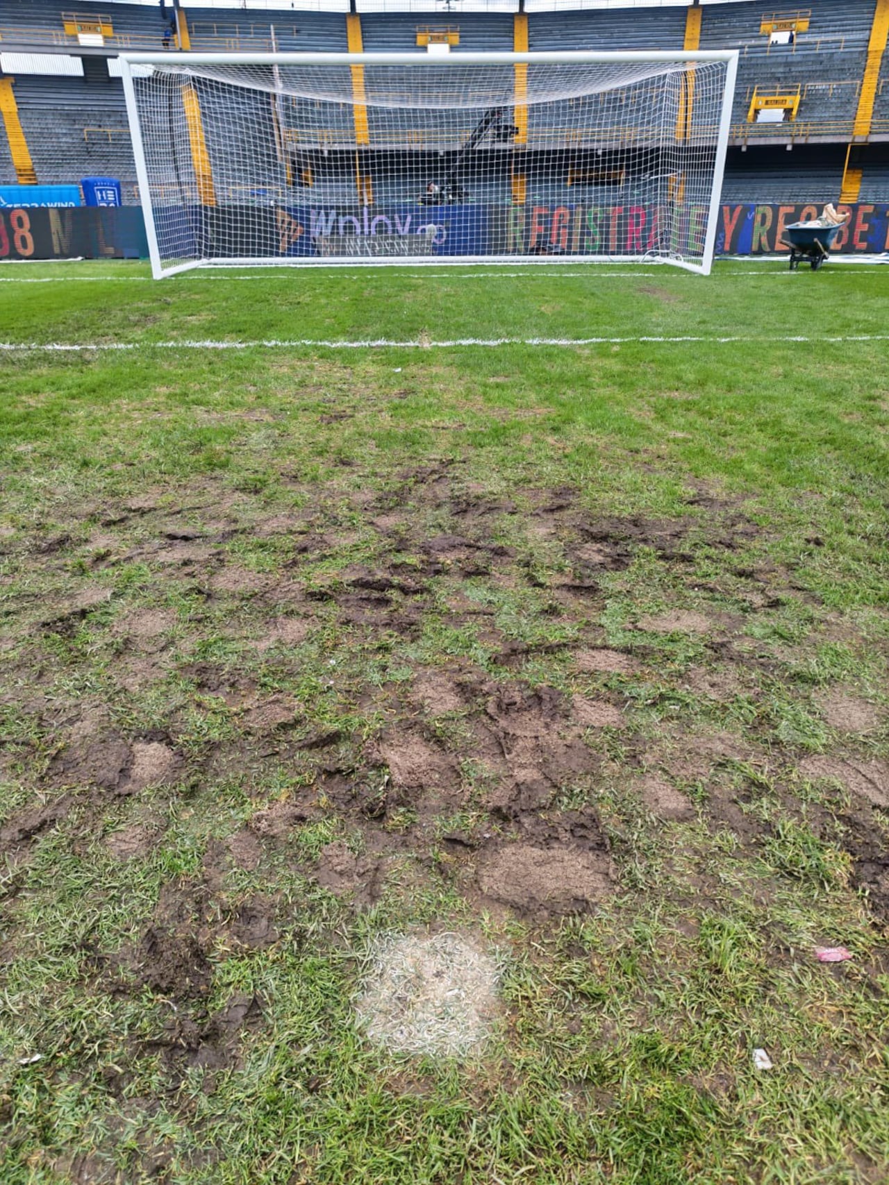 Imagen de la gramilla de El Campín, 2 de febrero 2026.