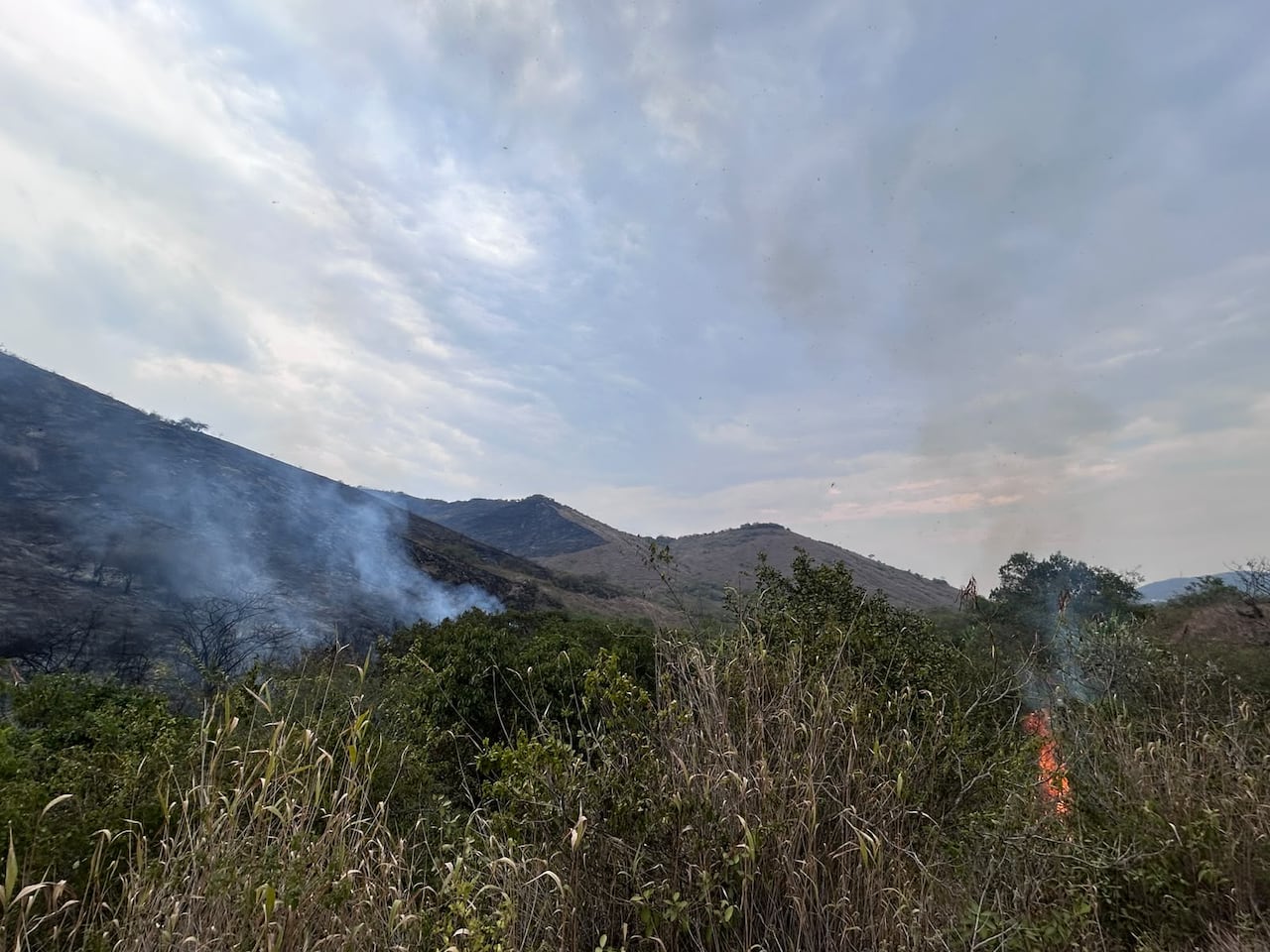 Las labores en Yumbo se desarrollan de manera conjunta entre los Bomberos de Yumbo y Cali y la Unidad de Gestión del Riesgo de la Gobernación del Valle del Cauca.