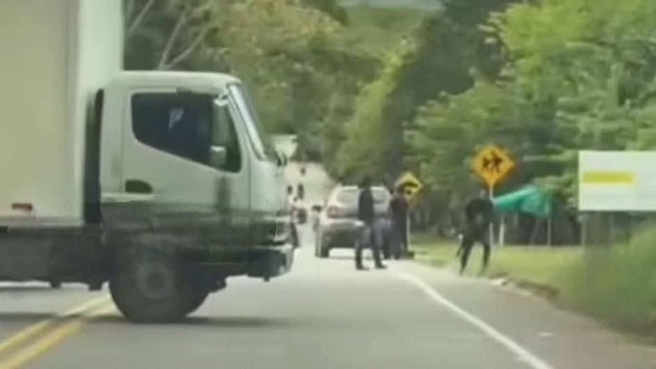 Los disidentes del frente Dagoberto Ramos de las Farc, el cual hace parte del Bloque Occidental Jacobo Arenas, salieron del Cauca hacia el Huila, Valle y Tolima para ir ganando terreno en estos departamentos.