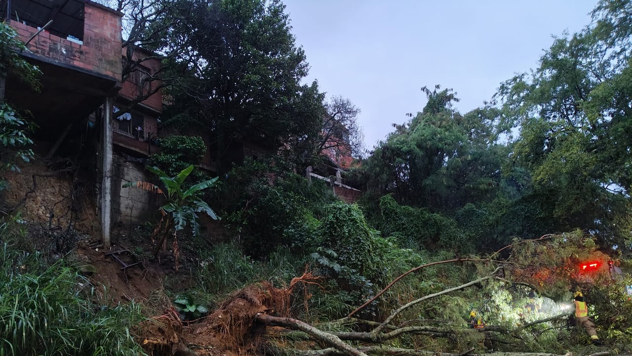 Reportan caída de árboles sobre la vía al mar.