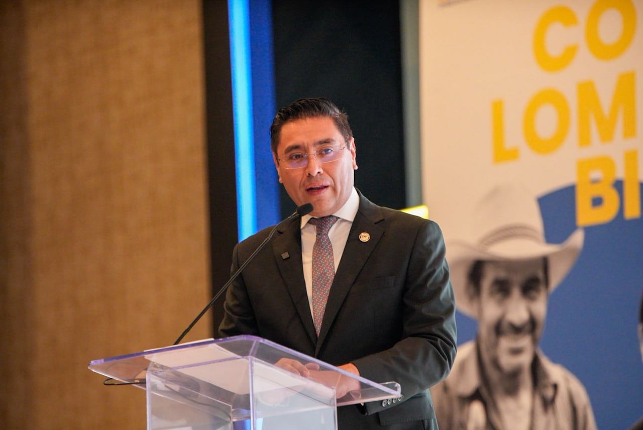 Cristian Ricardo Quiroz, presidente del Consejo Nacional Electoral (CNE) de Colombia.