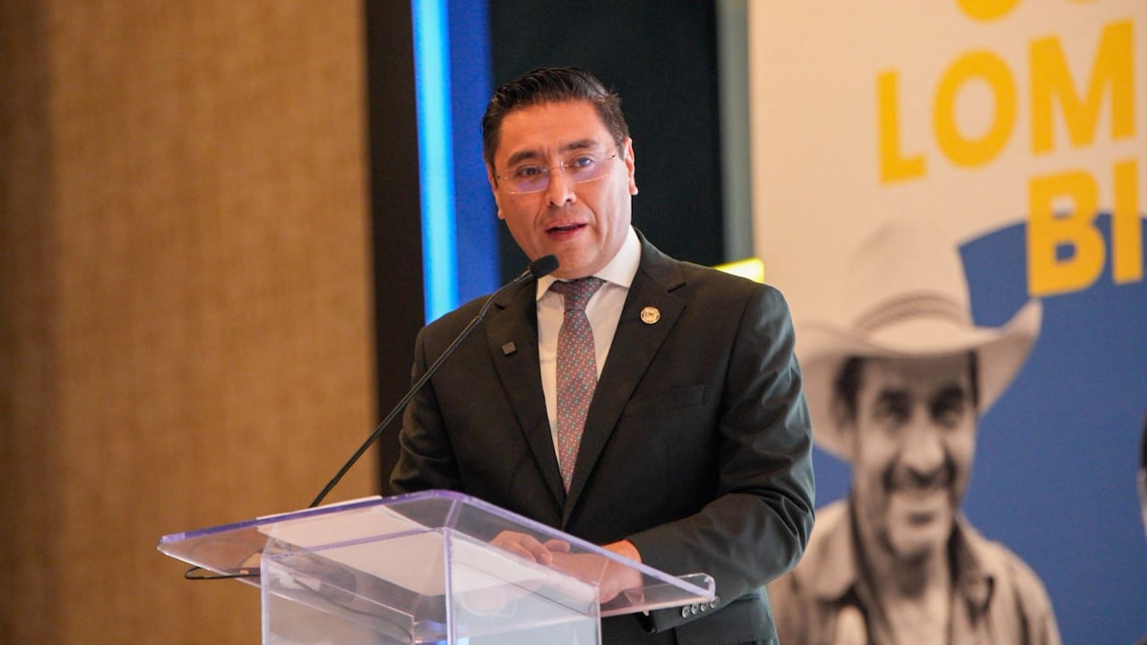Cristian Ricardo Quiroz, presidente del Consejo Nacional Electoral (CNE) de Colombia.