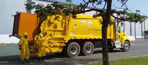 Yumbo limpio, imagen de referencia.