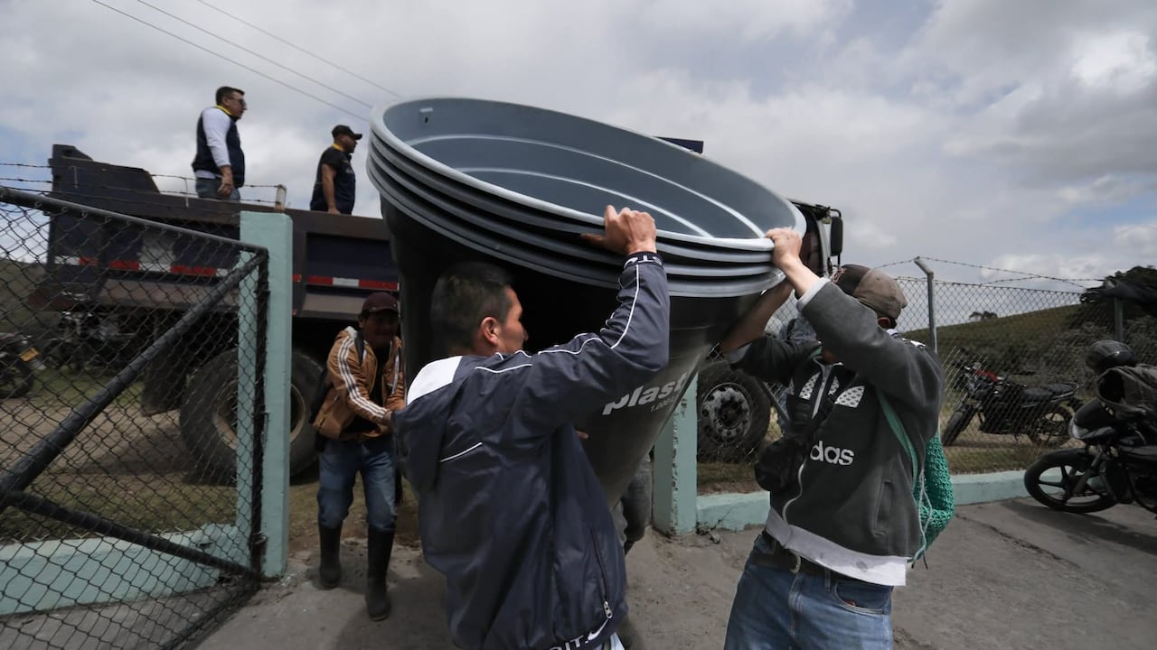 Tras más de 20 días de emisiones constantes de ceniza y gases del volcán Puracé, el municipio de Puracé declaró la calamidad pública ante las crecientes afectaciones en la salud de la población, los cultivos, las fuentes hídricas y los animales. Más de 4.000 personas resultan impactadas mientras la alerta naranja del Servicio Geológico Colombiano permanece vigente.