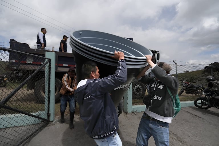 Tras más de 20 días de emisiones constantes de ceniza y gases del volcán Puracé, el municipio de Puracé declaró la calamidad pública ante las crecientes afectaciones en la salud de la población, los cultivos, las fuentes hídricas y los animales. Más de 4.000 personas resultan impactadas mientras la alerta naranja del Servicio Geológico Colombiano permanece vigente.