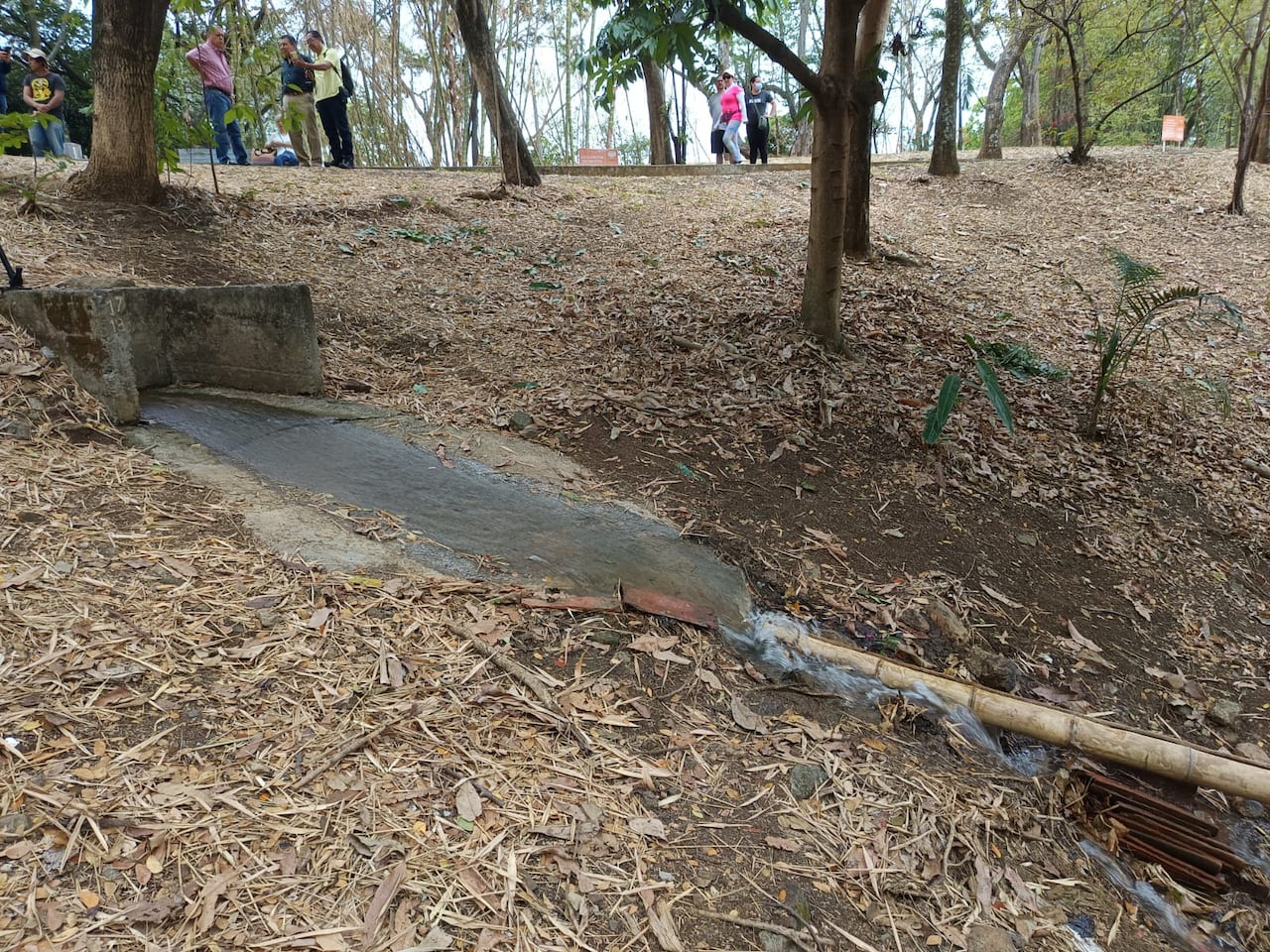 Funcionarios de la CVC descargan 44.000 litros de agua extraída de pozo autorizado para rehidratar el vaso del humedal El Limonar en la Comuna 17.