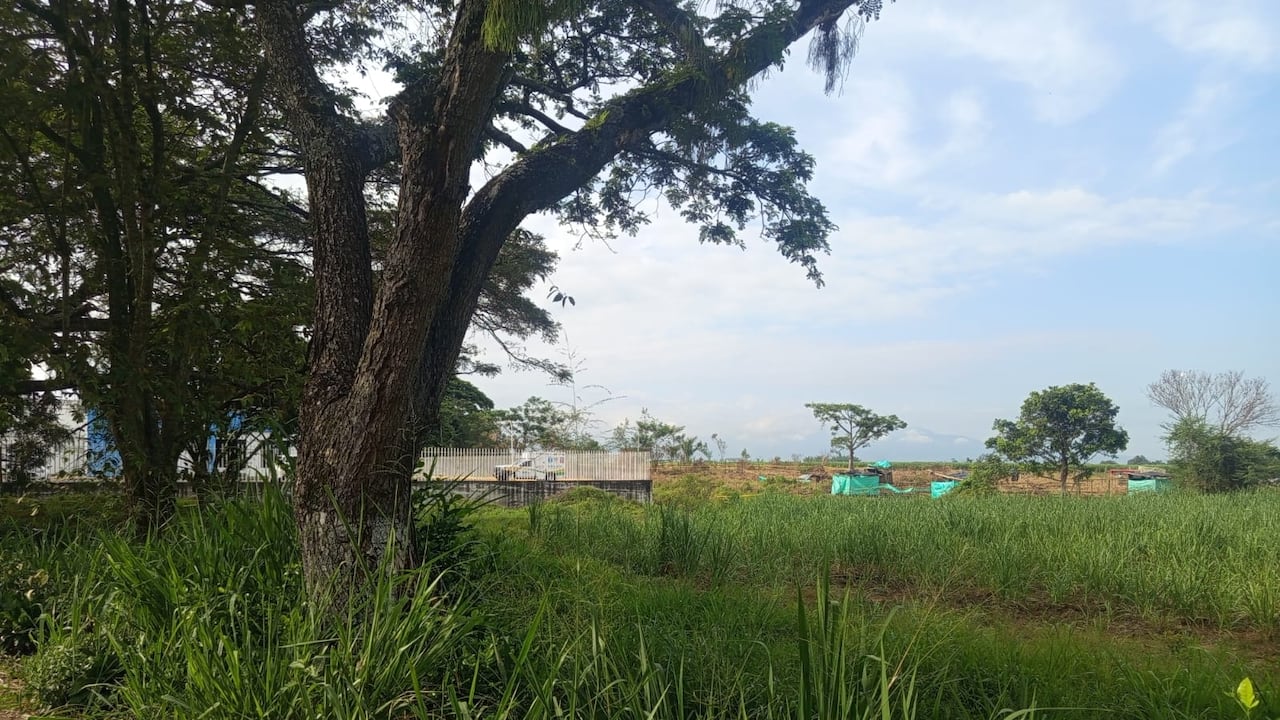 La ocupación irregular de cuatro predios ubicados en zonas estratégicas de Villa Rica, norte del Cauca.