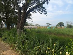 La ocupación irregular de cuatro predios ubicados en zonas estratégicas de Villa Rica, norte del Cauca.