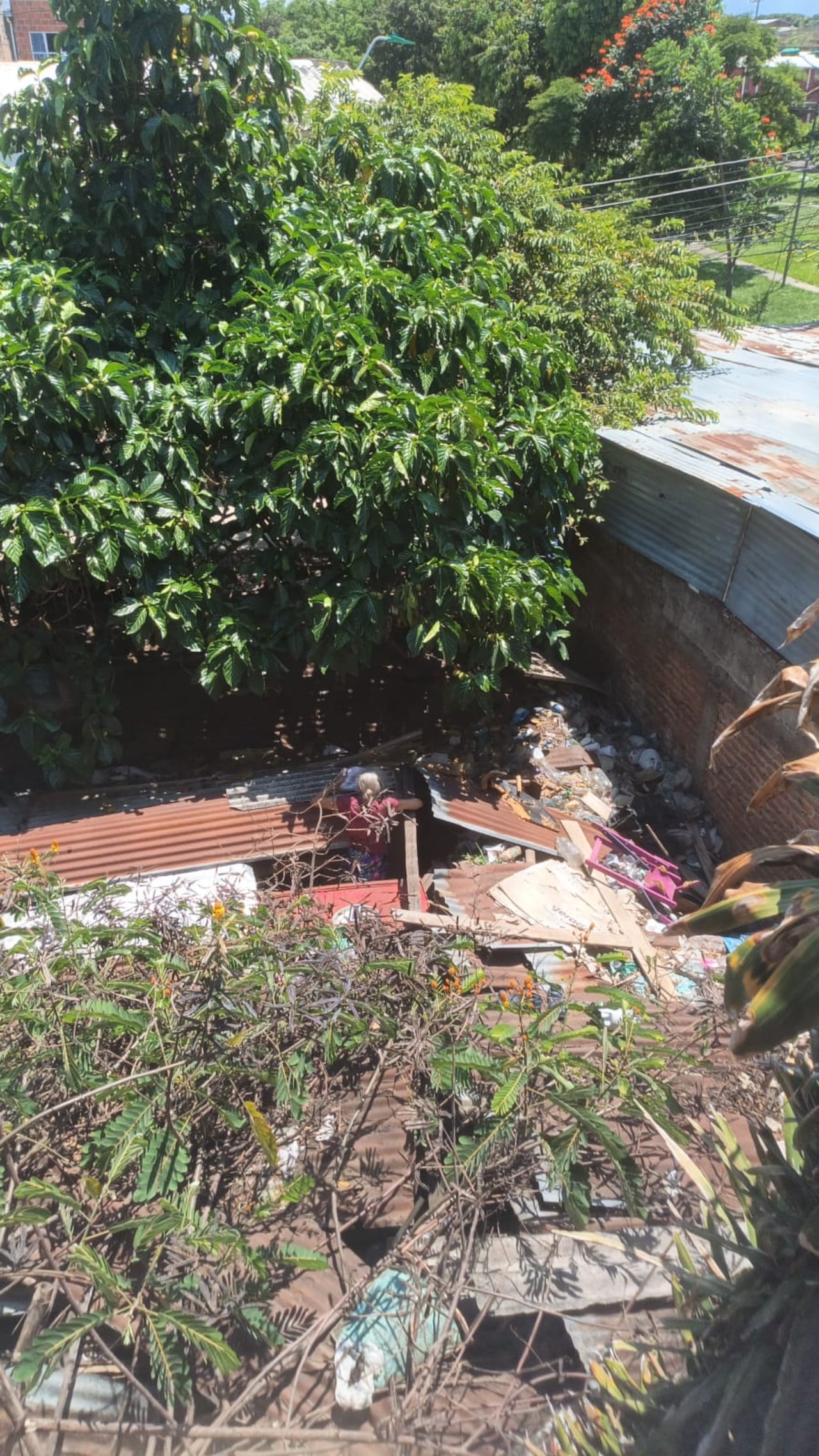 Las condiciones de la vivienda generan preocupación en el vecindario debido a los riesgos de salubridad, humedad y posibles emergencias que podrían afectar a varias familias.