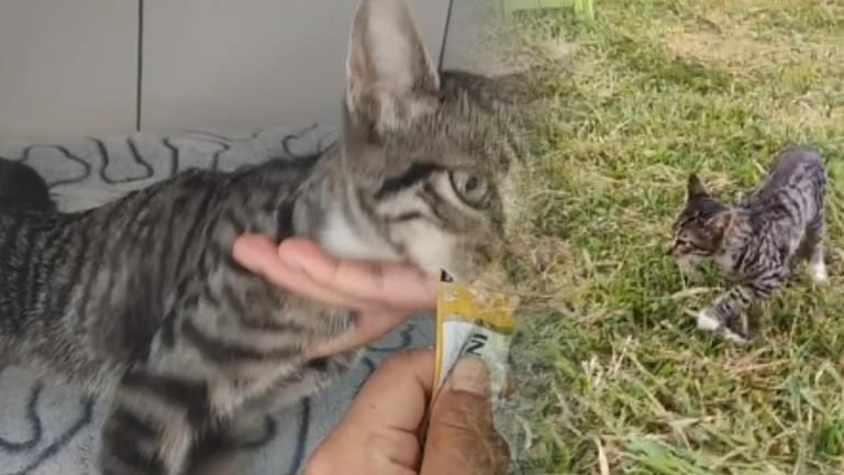 Luego de la denuncia de su caso, ciudadanos, autoridades y donantes se unieron para apoyar su tratamiento.