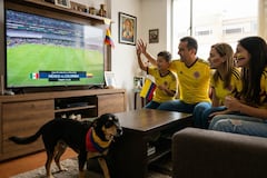Los gritos, la euforia, el propio estrés de los humanos, durante la visualización de los partidos de fútbol, pueden causar episodios de ansiedad en las mascotas.