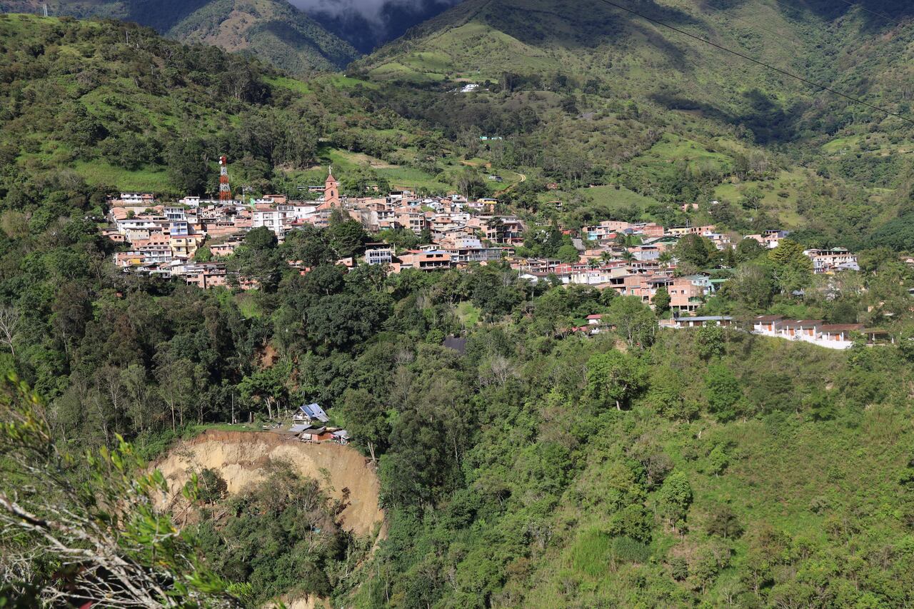 En el video se ve cuando el desprendimiento de tierra se lleva varios árboles.
