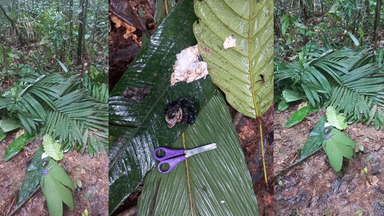 Fotografías que muestran que los menores de edad estarían con vida.