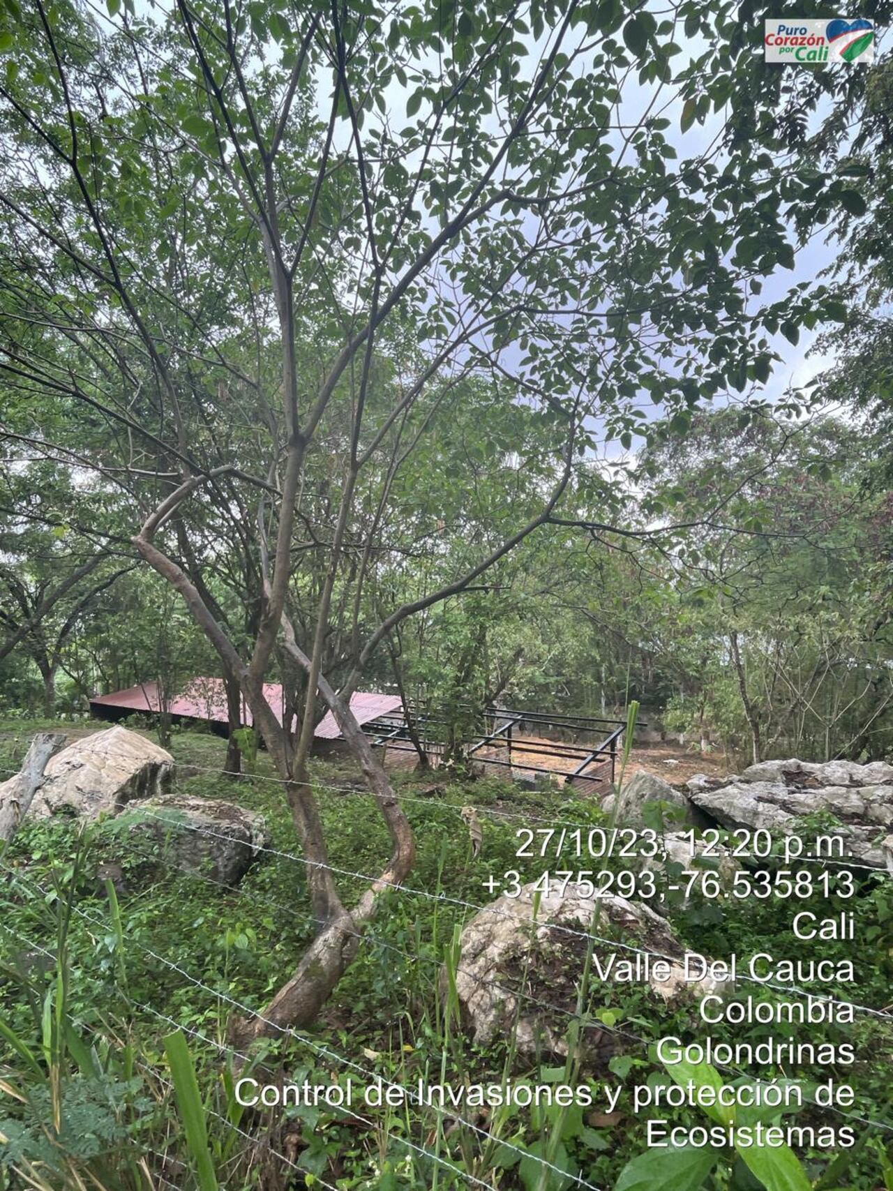 La inspección que permitió identificar un predio invadido en Golondrinas.