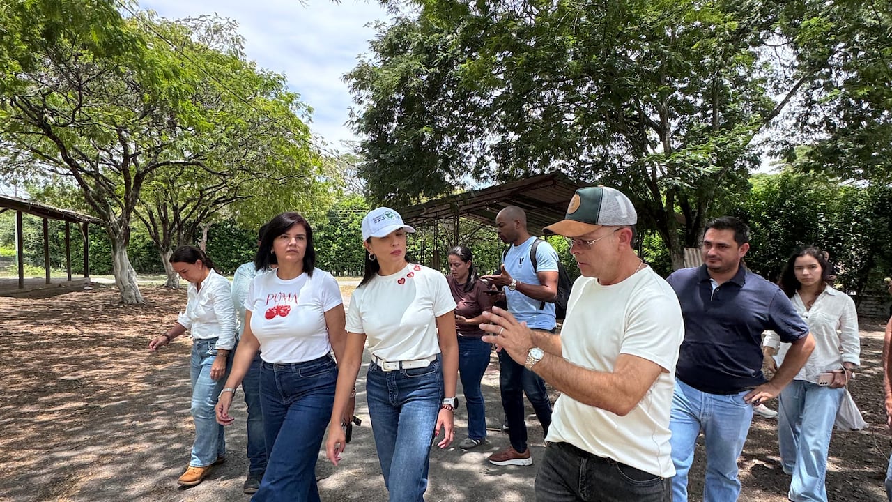 Los hangares del Coliseo de Ferias que deberán ser adecuados con servicios de agua potable, energía, baños portátiles y techado adecuado ante eventuales lluvias antes del traslado