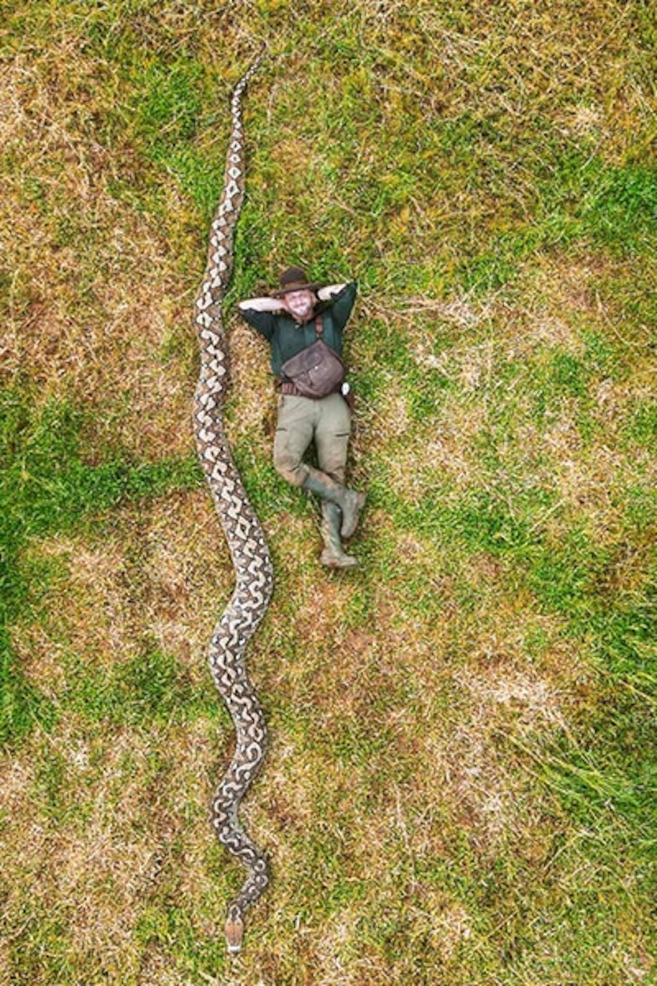 Ibu Baron, la pitón indonesia entra en la historia de GWR como la serpiente salvaje más larga medida.