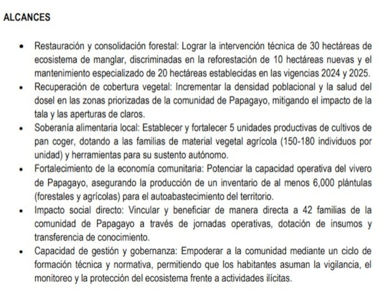 Estos son algunos de los alcances del proyecto.