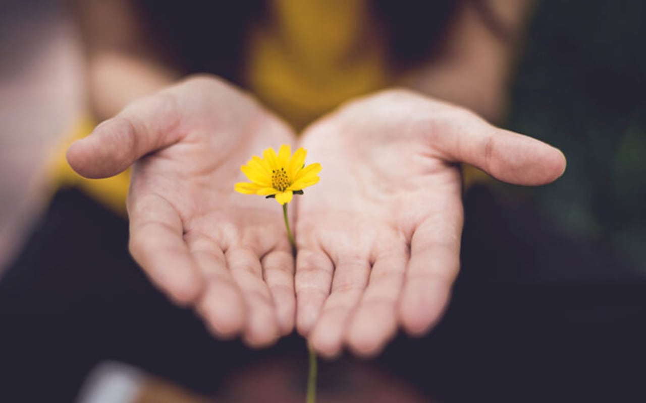 La gratitud ha sido estudiada por la ciencia por sus efectos en el bienestar emocional y la salud mental.