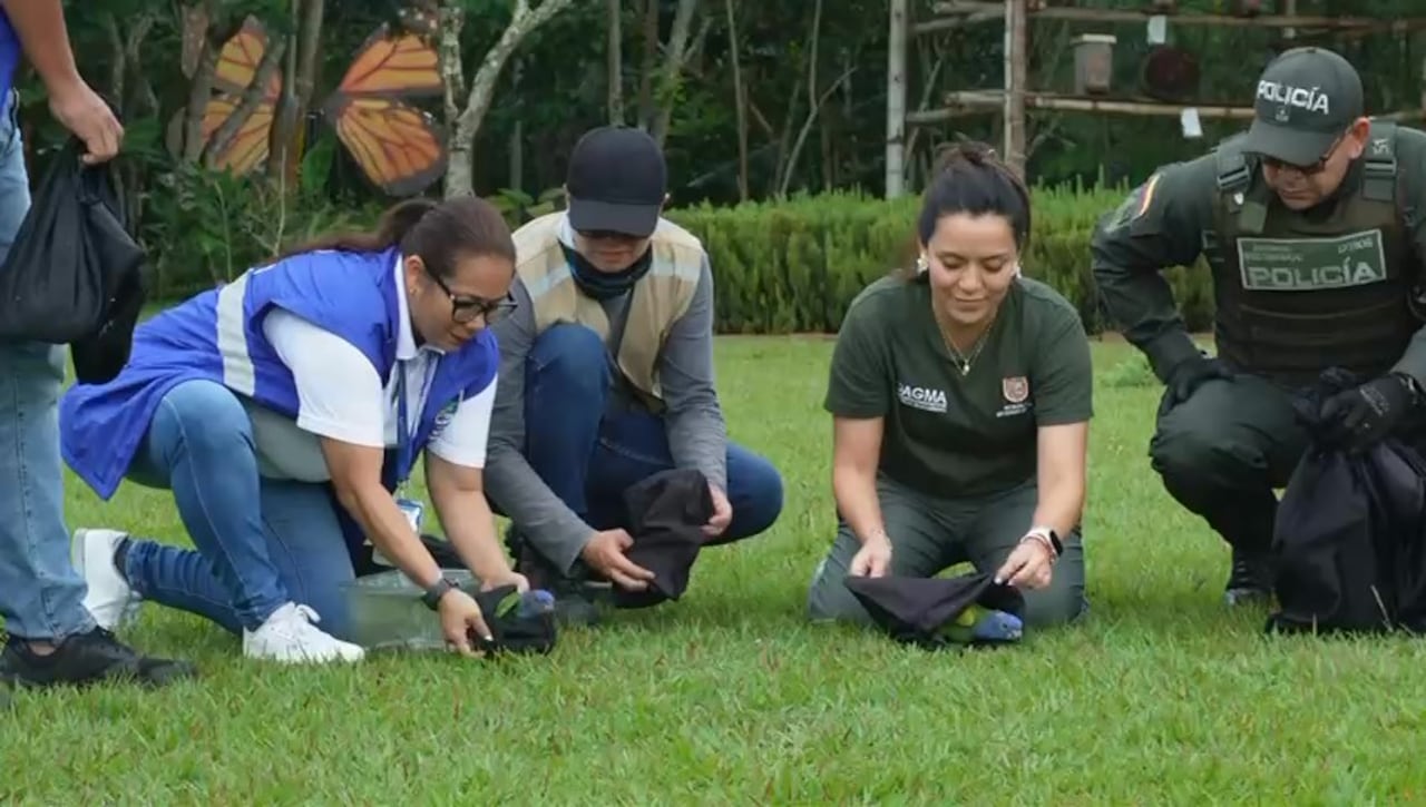 Más de 7700 animales han recibido atención en el Hogar de Paso del Dagma.