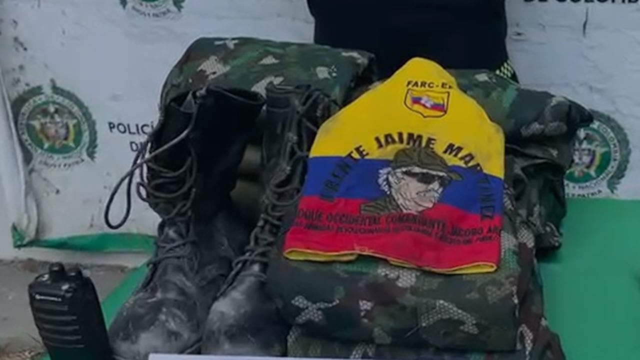 La operación, liderada por la Seccional de Investigación Criminal, Sijín, del Departamento de Policía Valle, se desarrolló en el corregimiento La Buitrera, del municipio de Palmira, y en el centro poblado Bajo Calima, del municipio de Buenaventura.