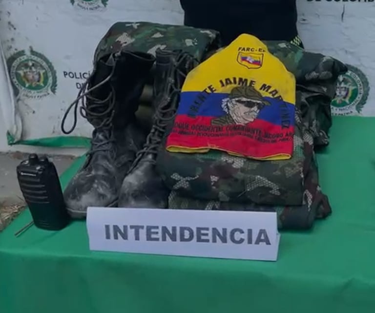La operación, liderada por la Seccional de Investigación Criminal, Sijín, del Departamento de Policía Valle, se desarrolló en el corregimiento La Buitrera, del municipio de Palmira, y en el centro poblado Bajo Calima, del municipio de Buenaventura.