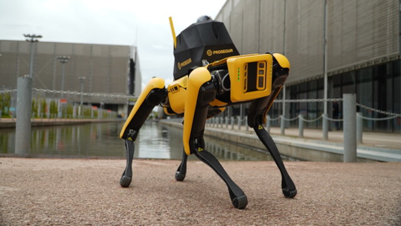 Yellow es un perro robot, encargado de cuidar a los invitados del show.