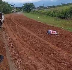 El Ejército combatió a los disidentes del frente Dagoberto Ramos de las Farc por varias horas, situación que sucedió en la vía que comunica Corinto con Caloto, en el norte del departamento del Cauca.