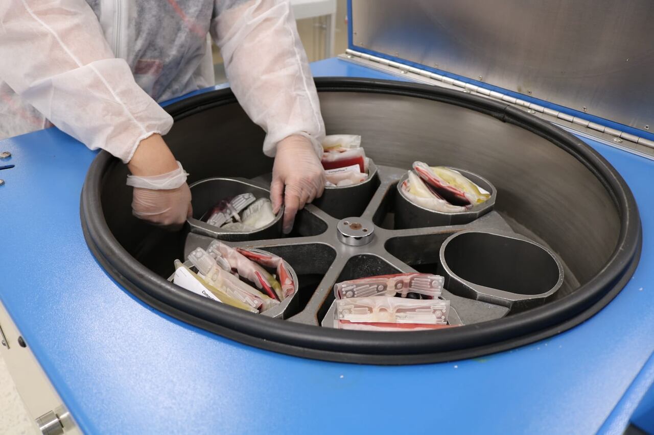 El banco de sangre de la Cruz Roja Valle Cauca puede procesar más de 3000 unidades de sangre al mes.