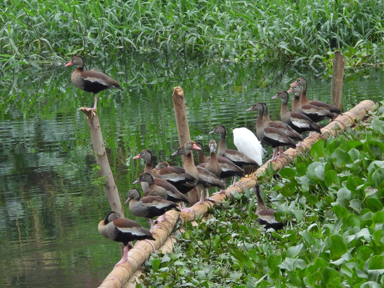 Laguna Charco Azul Cali