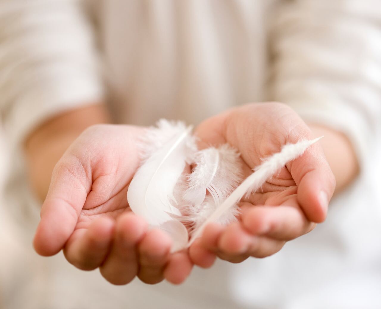 Las plumas blancas son símbolo de paz y de pureza
