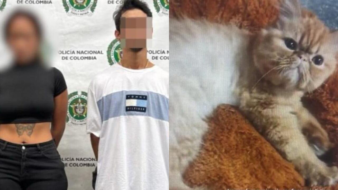 La pareja fue capturada en las últimas horas en Medellín.