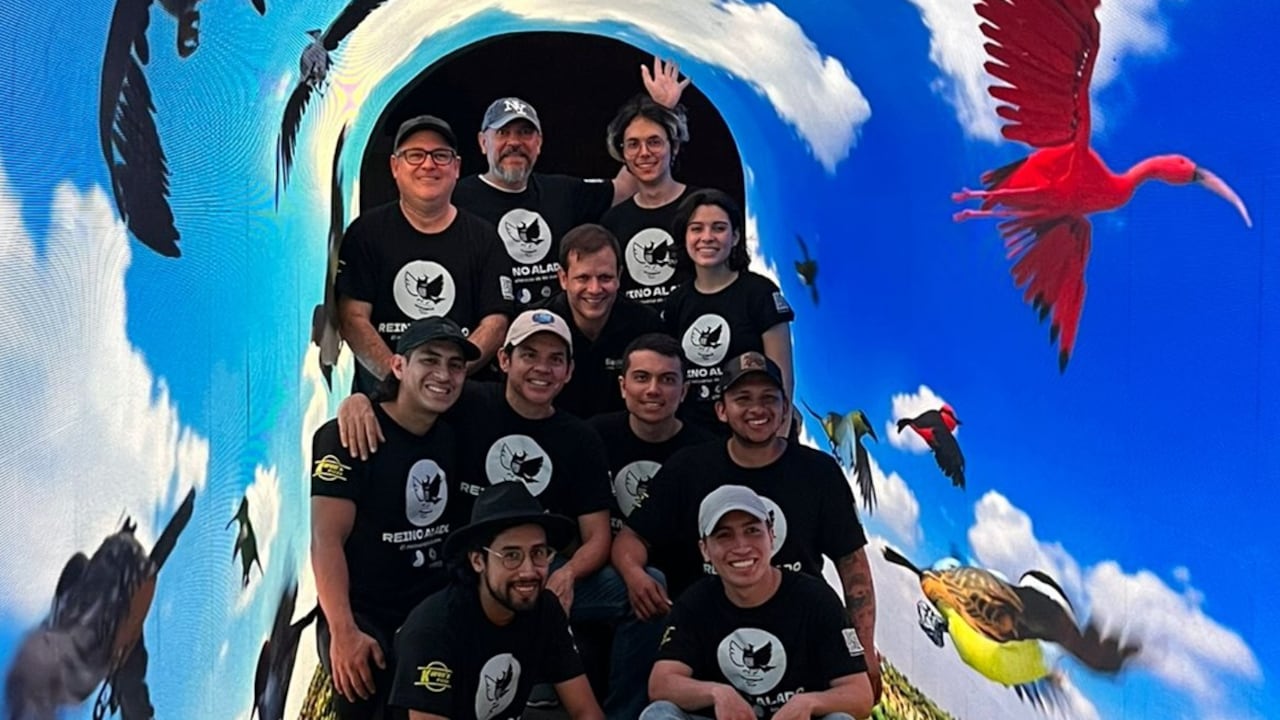 El Reino Alado, una experiencia inmersva en la biodiversidad para pacientes hospitalizados.