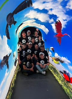 El Reino Alado, una experiencia inmersva en la biodiversidad para pacientes hospitalizados.