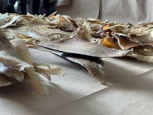 Las aletas estaban procesadas, es decir, no solo estaban secas sino que se les había retirado la piel. Foto: Secretaría de Ambiente de Bogotá. Foto: Secretaría de Ambiente de Bogotá