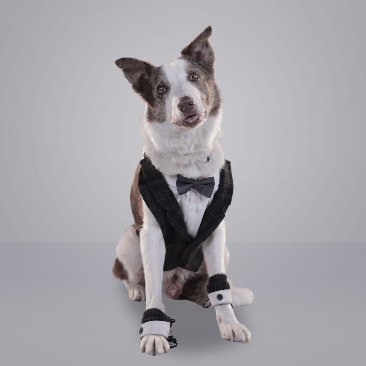 El Paseo 8: La Luna de Hiel