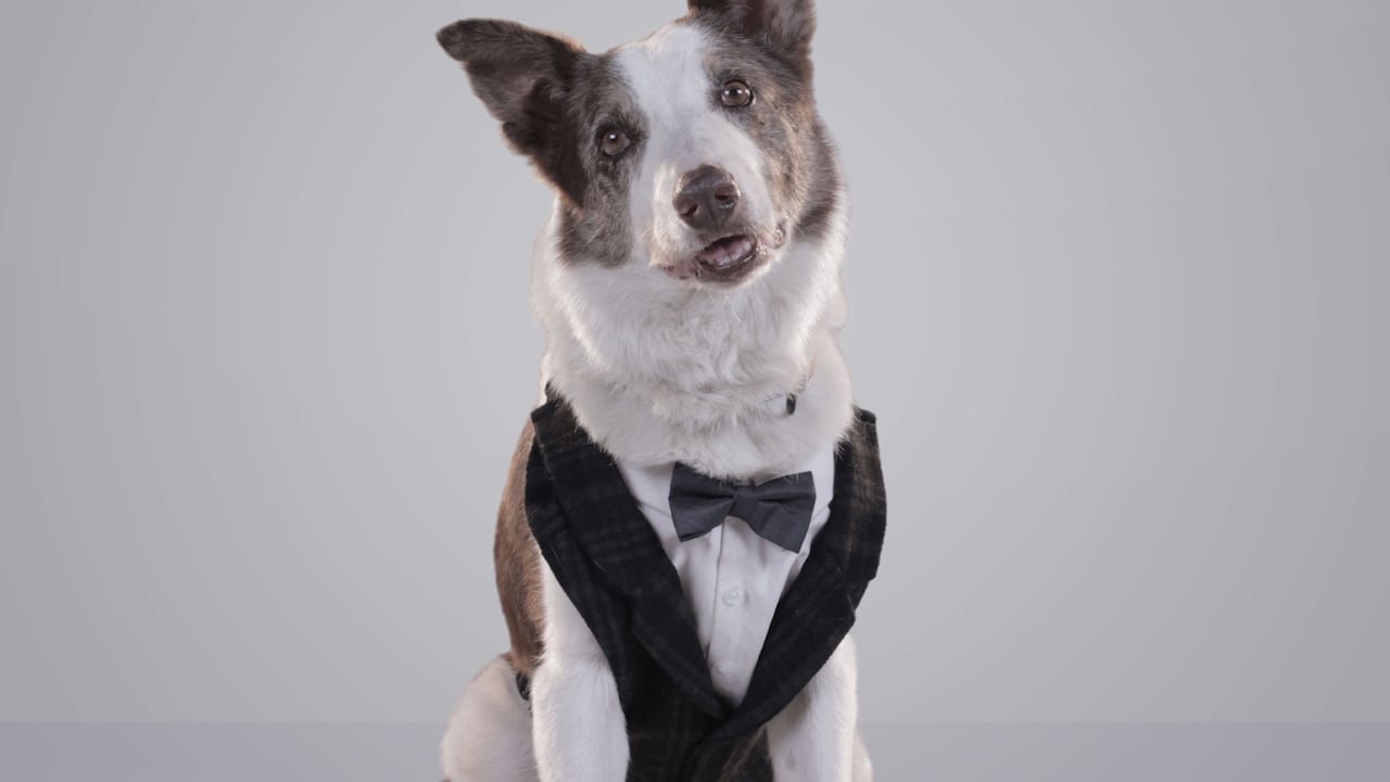 El Paseo 8: La Luna de Hiel