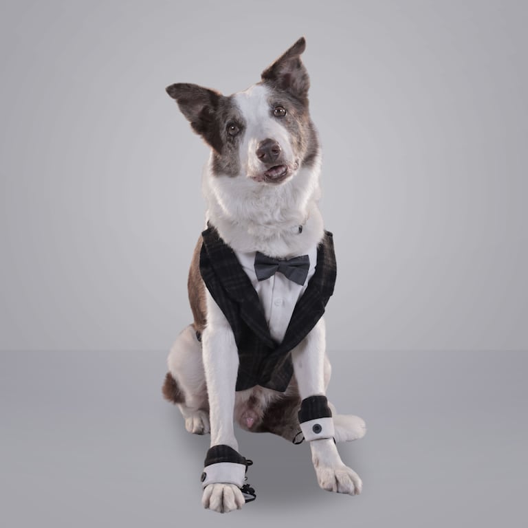 El Paseo 8: La Luna de Hiel