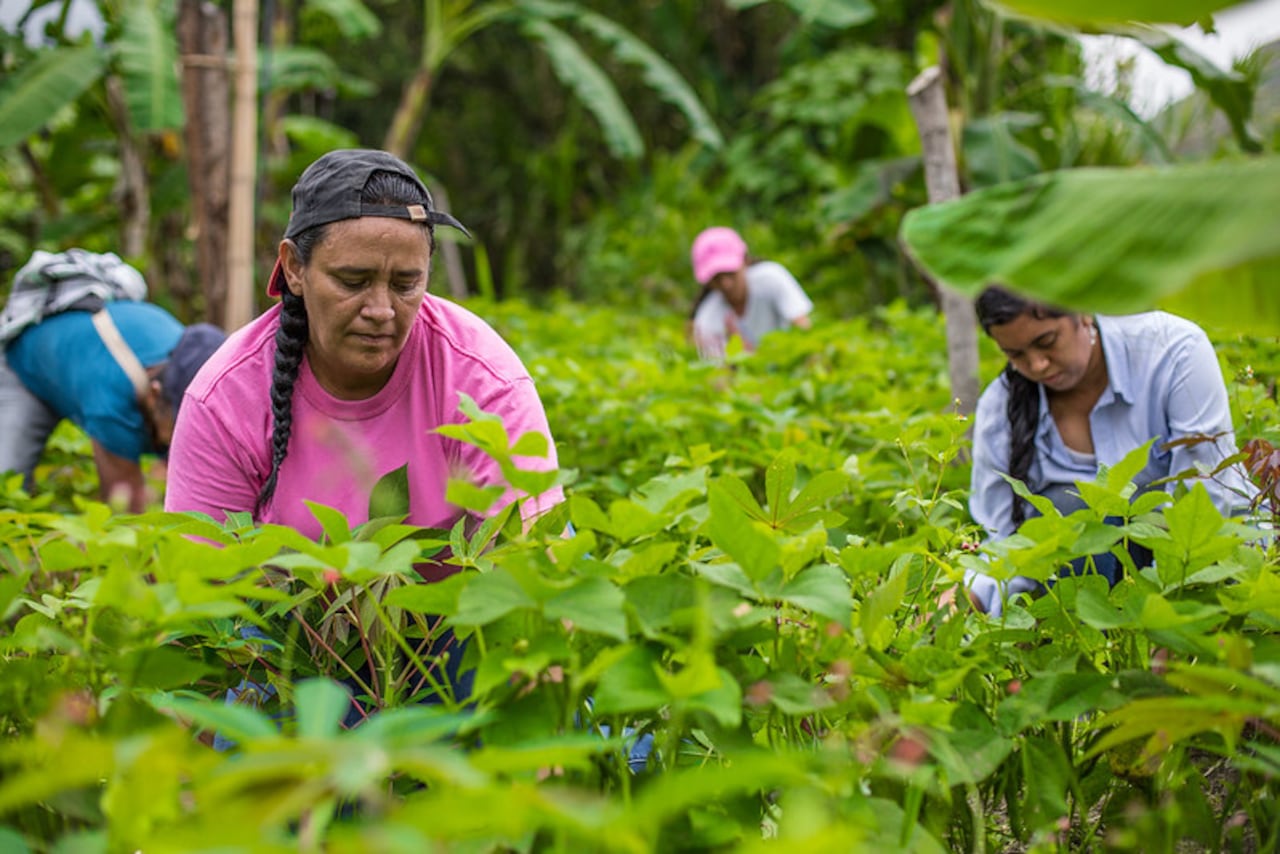 Las brechas de género se multiplican entre las mujeres del campo en Colombia. Foto: Fundación WWB.
