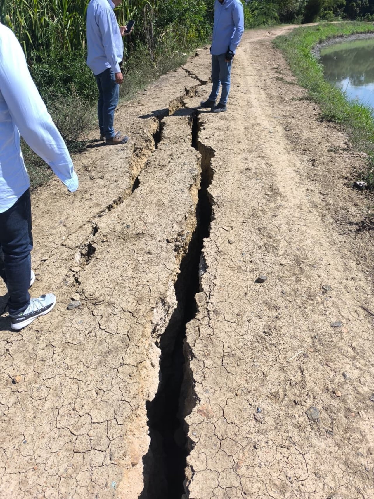 El daño en el jarillón no solo es superficial; compromete los canales de riego esenciales para la producción
.