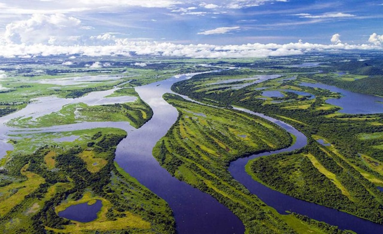 La compañía es carbono neutral en 11 empresas dentro de sus tres líneas de negocio, y su inversión ambiental voluntaria asciende a $4.5 mil millones.