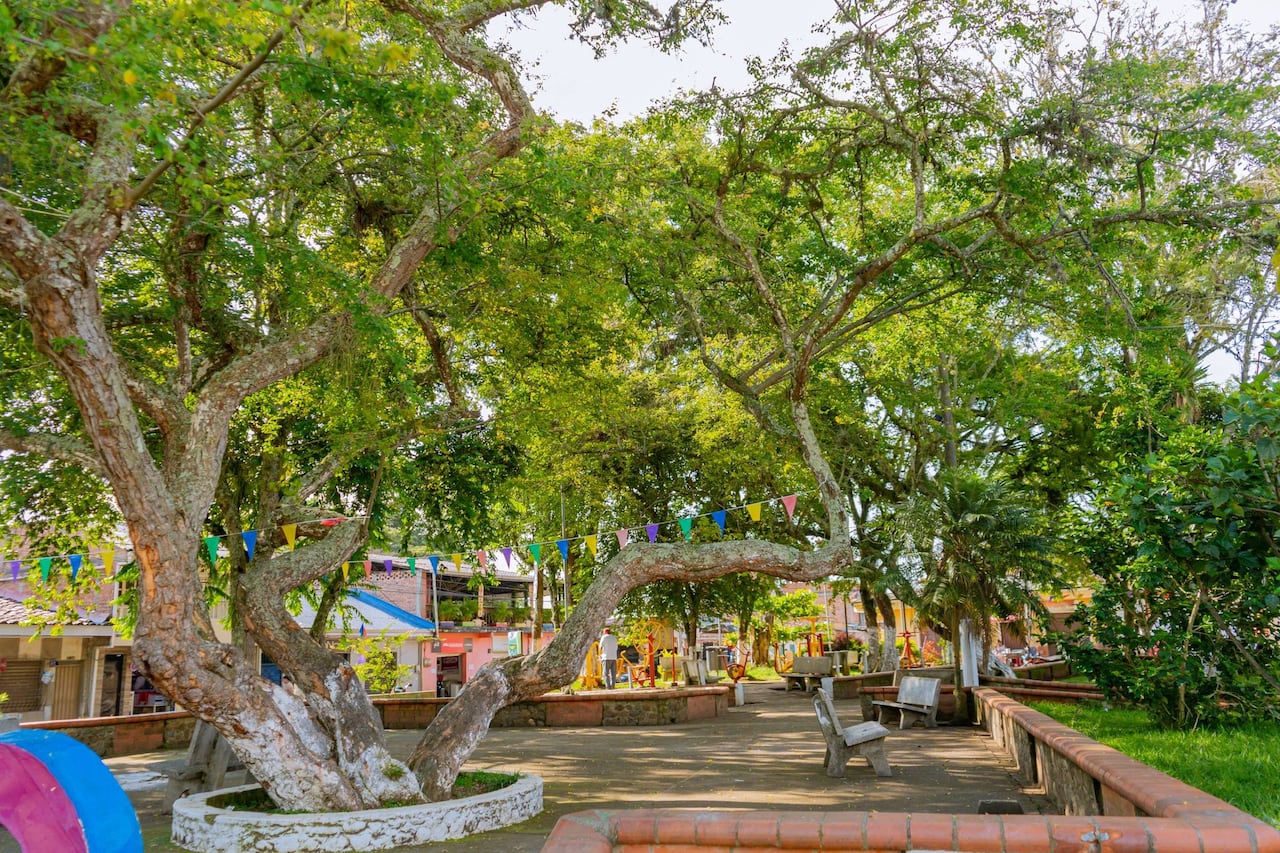 Corregimiento de Mondomo, Santander de Quilichao, en el norte del Cauca, foto tomada en enero de 2026.